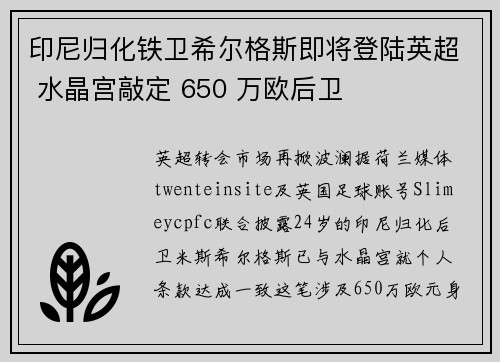 印尼归化铁卫希尔格斯即将登陆英超 水晶宫敲定 650 万欧后卫